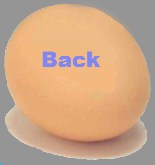 egg back